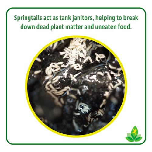 Josh's Frogs Isopods and Springtails Bundle, 25 ct/8 oz | Dwarf Tropical White Isopods, Temperate Springtails, Bioactive Clean Up Crew Bugs