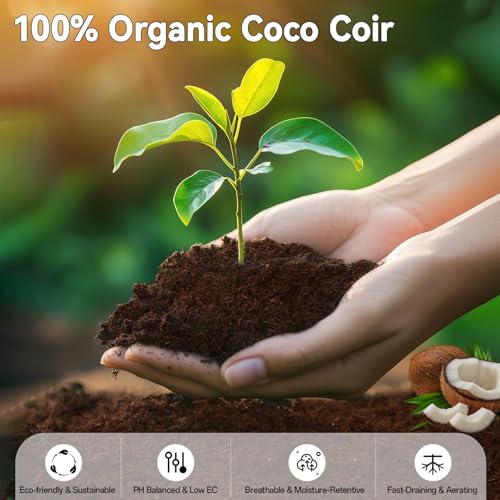55 Pack 30mm Organic Coco Coir Pellets Seed Starter Soil | Low EC, pH Balance, Potting Soil Mix, Seed Starting, Indoor Outdoor Plants, Herbs Houseplants Bonsai Vegetables Flowers - size: 30mm-55pack