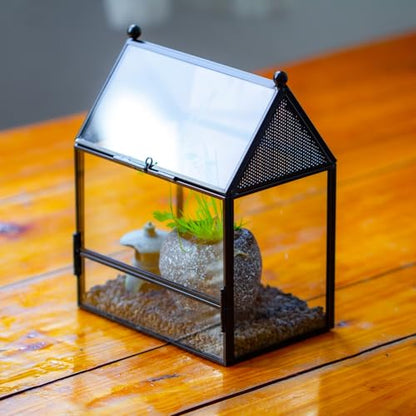 NCYP Small Glass Enclosure with Mesh for Jumping Spiders - 5.8" x 3.8" x 7" Micro House Shaped Small Spiders Vented Glass Terrarium, Home Decor Black (Glass Terrarium Only) - size: 5.8" x 3.8" x 7"