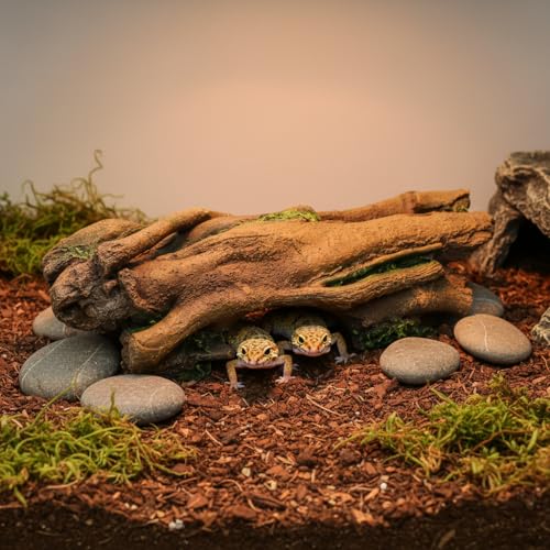JIHAQUA Aquarium Resin Bark Terrarium Decor Lizard, Snake or Reptile Hide | Spider and Aquarium Fish Hide Cave