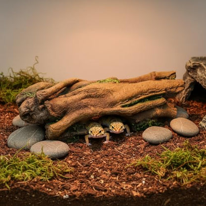 JIHAQUA Aquarium Resin Bark Terrarium Decor Lizard, Snake or Reptile Hide | Spider and Aquarium Fish Hide Cave