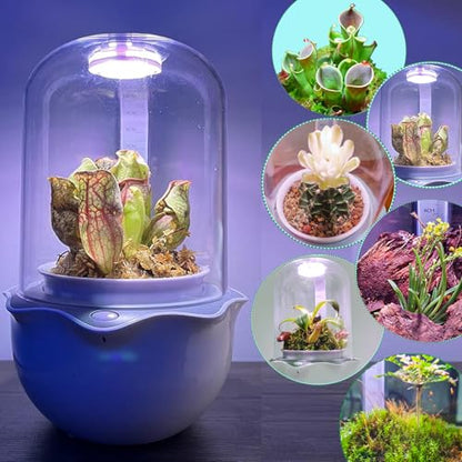 Smart Venus Fly Trap Terrarium Pot with Timer&Fan, Mini Plant Terrarium Kit | Plant Terrarium Kit with Grow Light for Carnivorous,Butterwort,Venus Fly trap,Christmas Gardening Gift for Women Garden Lover