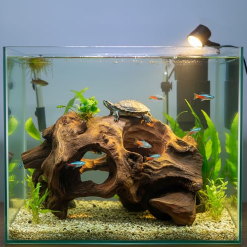 emours Porous Natural Driftwood for Aquarium, Aquascaping Driftwood with Holes, Hand-Selected Tunnels & Hideouts, Aquascaping Hardscape, Terrarium Reptile Décor, No Paint or Resin (6-8" (15-20 cm)) - size: 6-8" (15-20 cm)