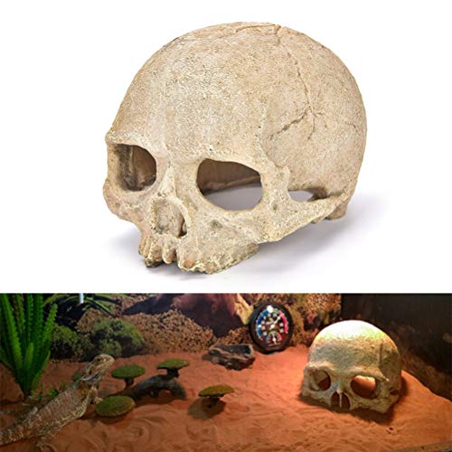 Skull Fish Shrimp Cichlid Hide Cave Reptiles Shelter Lizards Spider Aquarium Decoration Skull Rock Betta Fish Hideout Breeding Hatchery (Skull)