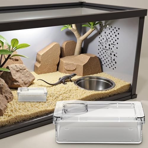 Reptile Water Bowl - Anti-Escape Crested Gecko Food Dish, Reptile Amphibian Feeders, Polystyrene | Snake Water Bowl for Habitat Feeding Gecko Chameleon Terrarium Frog Tank Lizard Tortoise Cage Le - color: White