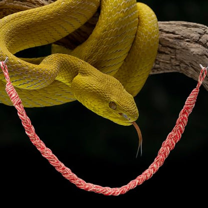 Snake Climbing Toys, Hermit Crab Rope Ladder, Hermit Crab Supplies, Reptile Vines Toys, Reptile Tank Terrarium Accessories, Habitat Decor for Hermit Crab Lizards Geckos