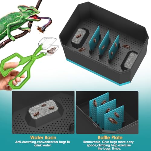 Breeding and Storage Container Kit for Dubia Roaches, Crickets, and Other Live Reptile Feeders with Secure Holding Box and Feeding Tongs - 9.25" L x 6.3" W x 5.71" H