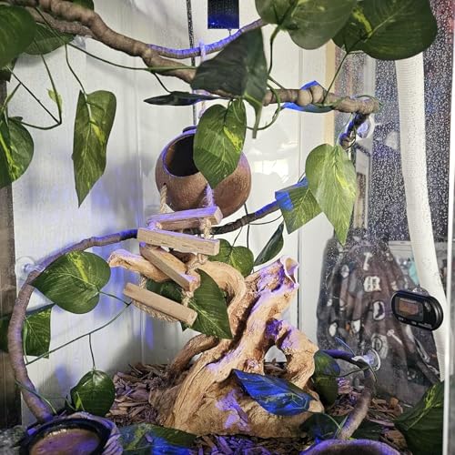 Crested Gecko Tank Accessories,Gecko Coconut Hut Hideout with Ladder Reptile Hammock Lizards Hanging Plants Flexible Climbing Jungle Vine Leaves Terrarium Decor - style: 【Style B】