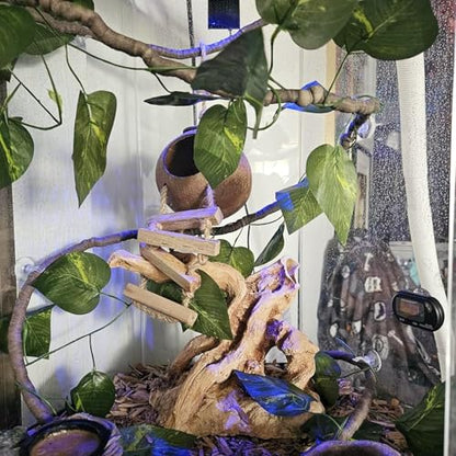 Crested Gecko Tank Accessories,Gecko Coconut Hut Hideout with Ladder Reptile Hammock Lizards Hanging Plants Flexible Climbing Jungle Vine Leaves Terrarium Decor - style: 【Style B】