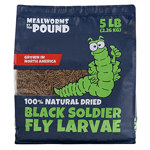 North American Grown Dried Black Soldier Fly Larvae (5lbs) - More Calcium Than Mealworms - Treats for Chickens, Wild Birds, & Reptiles …
