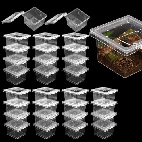 30 Pcs Insect Spider Terrariums Transparent Breeding Box Plastic Hatching Container for Tarantula Spider Scorpion Centipede Mantis