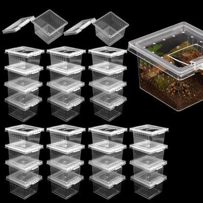 30 Pcs Insect Spider Terrariums Transparent Breeding Box Plastic Hatching Container for Tarantula Spider Scorpion Centipede Mantis