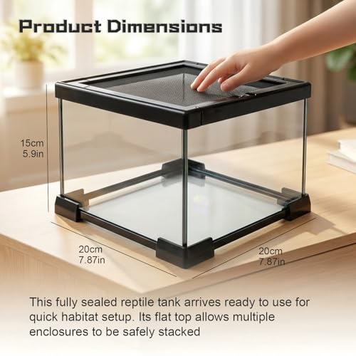 Small Glass Reptile Enclosure: 8x8x6 Full View Tarantula Enclosure | Lockable Sliding Screen Top Glass Terrarium - Insects Breeding Box Small Amphibians Cage for Leopard Gecko Hermit Crab - color: Glass, size: 8x8x6