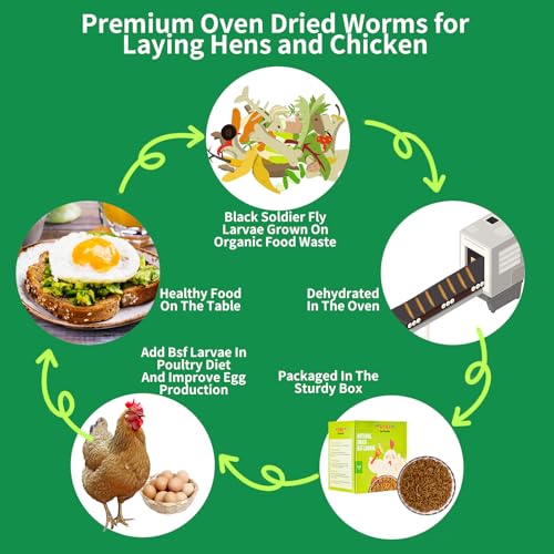 Dried Black Soldier Fly Larvae Treats for Chickens Wild Birds Ducks 5LB | More Calcium Than Mealworms High-Protein Non-GMO Pure Natural - size: 5 Pound (Pack of 1)