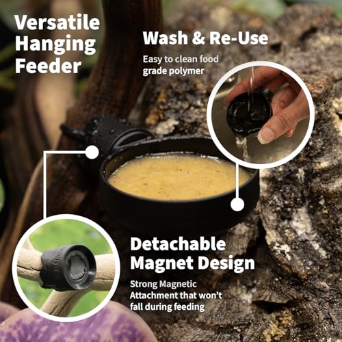 Pangea Microdish Kit for Crested Gecko Food 2.75in x 2.6in (L Branch Mount) | Small Dish for Anoles and other Reptiles, Zip Tie Attachment Water Bowl - size: L Branch Mount