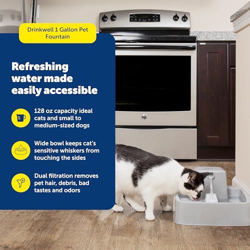 PetSafe Oasys Pet Fountain, 1 Gallon (128 oz), Cats & Small-Medium Dogs | Adjustable Water Flow, Whisker-Friendly Tray, Dishwasher-Safe, Replaceable Carbon & Foam Filters Included - size: 1 Gallon