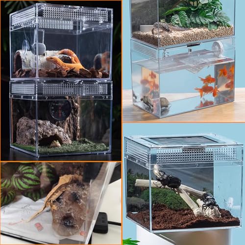 Reptile Terrarium, Jumping Spider Enclosure Starter Kit, Leopard Gecko Habitat Container, 8"x8"x7"Reptile Tank for Tarantula, Hermit Crab, Insect, Fish, Frog, Small Bearded Dragon, Lizard - size: 8"x8"x7"