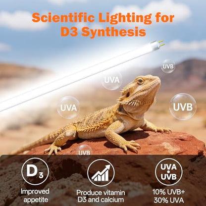 T5 UVB Reptile Light Fixture Combo Kit 24W: 10.0 UVB Light for Reptiles Terrarium Hood Comes with Ho UVB Lamp, 22'' Linear UVB Light Bar for Desert Bearded Dragon,Turtle,Gecko - UV Sensor Test Card - size: 22.6INCH-10.0
