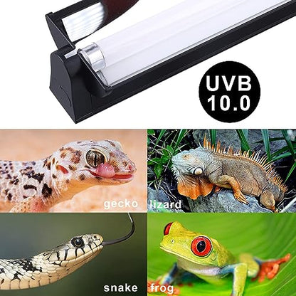 Aiicioo T5 UVB Lighting Combo Kit - 12" Light Fixture Desert 10.0 Terrarium Hood Light Fixture & High Output T5 HO UVB Bulb for Reptiles Chameleon Gecko (watts, 8) - size: 12Inch 8W