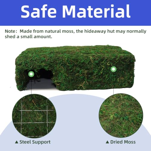 Handmade Reptile Moss Cave M, 9.4" Shelter for Gecko Hamster | Moss reptile cave hide, Smooth edges, no injury, Suitable for humid environments - color: M Green