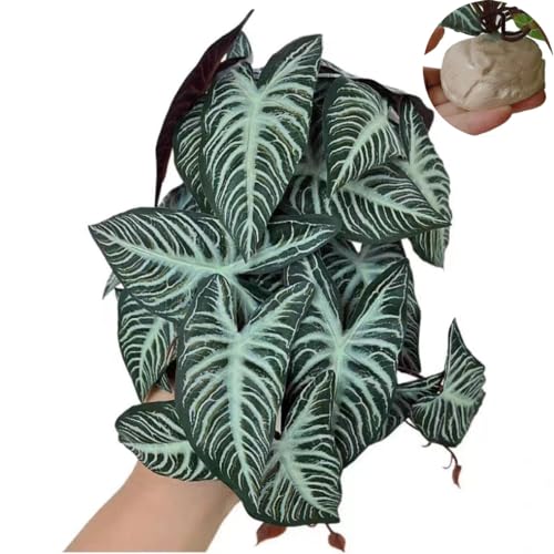 Reptile Plants for Terrarium,Habitat Decor,Artificial Plant | Fake Reptile plants with base for ball python bearded dragon Gecko Chameleon Snake Tortoise Tank Accessories-Xanthosoma - color: Xanthosoma Sagittifolium