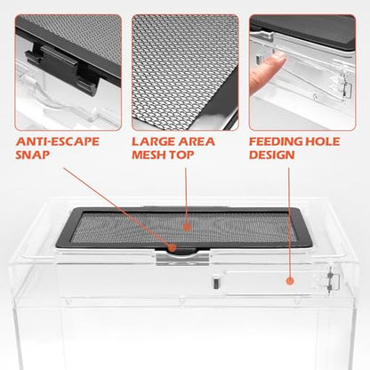 AZV Reptile Tank Starter Kit,8 Piece Escape Proof Hermit Crab Cage Large | All In One Lizard Terrarium,Multi-Vent Compatible Gecko Habitat,Clear PC Material Frog Enclosure,Easy-Clean Waterproof Base - size: Large(15.6*10*8IN)