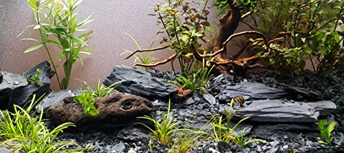 Natural Slate Stone 5 to 7 Inches - USA Sourced and Packaged for Aquascaping Aquariums, Terrariums, Paludariums, Reptile Enclosures, and Gardens (10lbs) - size: 10 lbs