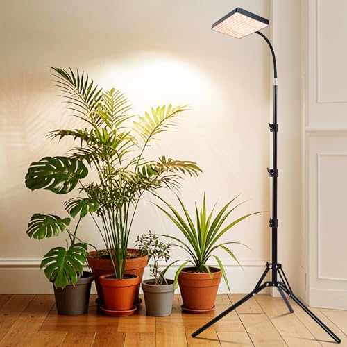 25 Watt Grow Light with Stand, Enough Bright, NO Need Adapter, 4/8/12/16/20H 5-Mode Timer, Natural Sunlight Full Spectrum Plant Growing Lamps for Tall Houseplants & Bonsai Tree - size: 1Head Stand(25W)