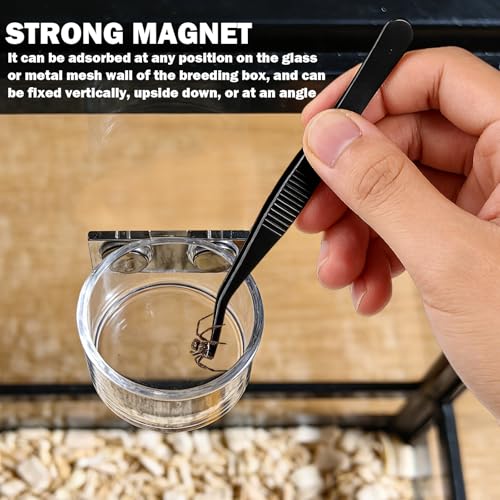 Jumping Spider Feeding Dish 2 Pack Magnetic Water Bowl with Tweezers | Magnetic Mounting, Shallow Design, Acrylic Material, Easy To Clean