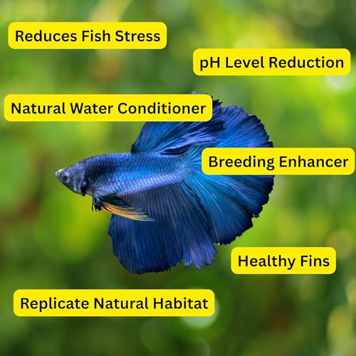 80 Pcs Dried Indian Almond Catappa Ketapang Leaves 4" – Natural Leaf Litter for Betta, Goldfish, Guppy, Tetras & Frogs, Aquarium Botanicals for Fish Tanks, Aquascaping & Terrariums