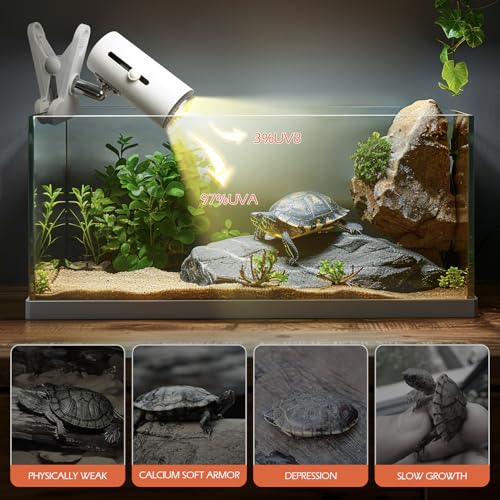 AZV Habitat Terrarium Enclosure, Small Reptile Tank with Bearded Dragon Hammock with AZV Reptile Heat Lamp with 50W UVA UVB 3.0 Light Bulb