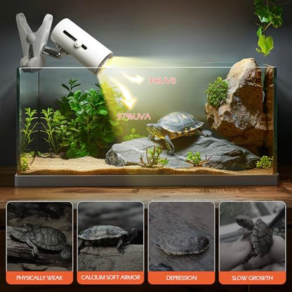 AZV Habitat Terrarium Enclosure, Small Reptile Tank with Bearded Dragon Hammock with AZV Reptile Heat Lamp with 50W UVA UVB 3.0 Light Bulb