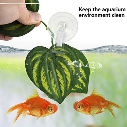 SLSON Fishes Veggie Seaweed Plant Suction Cup Clip Feeding Tool Feed Holder Aquarium Accessories for Fish Tank Fish Feeder Clips (4Pack Transparent) - color: 4Pack Transparent