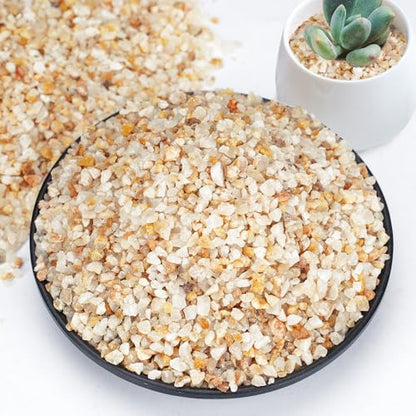 1-2mm Coarse Sand for Plants, 6lbs Horticultural Sand for Gardening | Desert Silica Sand for Cactus, Vases, Aquariums, Terrarium, Fish Tank, Drainage Rocks for Potted Plants, Bamboo, Crafts