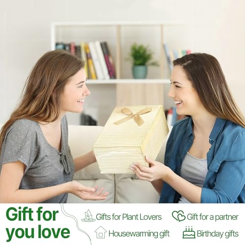 Plant Propagation Stations Heart Plant Terrarium Kit | Gift for Women Plant Lover Glass Vases - color: Green