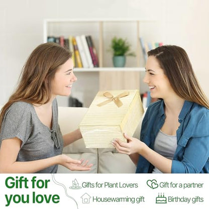 Plant Propagation Stations Heart Plant Terrarium Kit | Gift for Women Plant Lover Glass Vases - color: Green