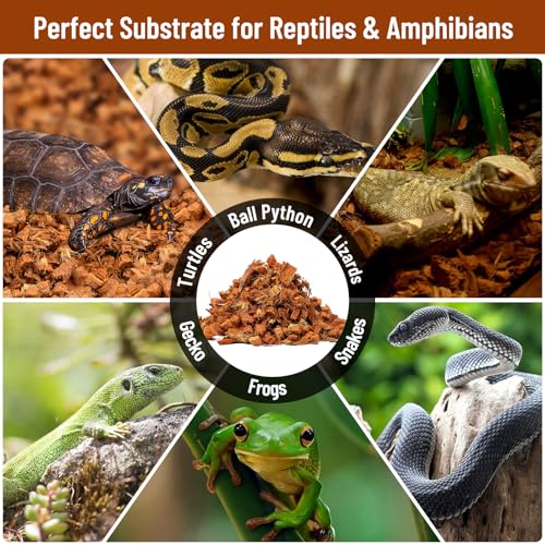 Riare 6Pack Coconut Husk Chip for Reptiles, 6.6 LB Coconut Fiber Substrate | Coco Chips Substrate Coconut Husk Bedding for Snakes, Tortoises, Ball Python, Bearded Dragon, Geckos, Lizards, Frogs - color: 6 Pack