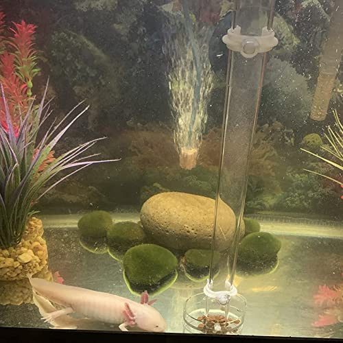300mm Acrylic Aquarium Shrimp Feeding Tube Aquarium Clear Fish Food Feeder Tube for Fish Tank with 2pcs Suction Cups