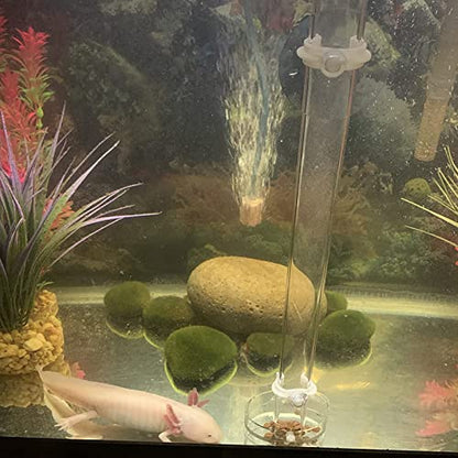 300mm Acrylic Aquarium Shrimp Feeding Tube Aquarium Clear Fish Food Feeder Tube for Fish Tank with 2pcs Suction Cups