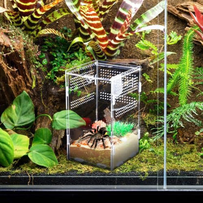 Enclosure Modular Well-Ventilated Design, Secure Lock and Multifunctional Acrylic Breeding Habitat Box for Feeding Reptile Animal Suitable Pet