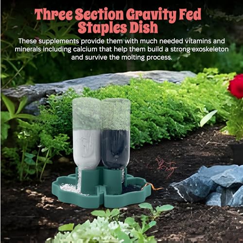 Hermit Crab Gravity Feeder - 3 Well feeders - Green for Greensand, Oyster Shell Flour and Worm castings by Snout and Shell
