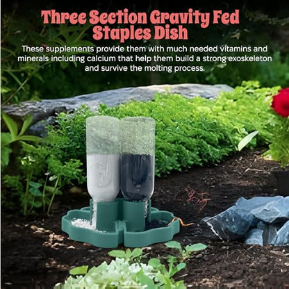 Hermit Crab Gravity Feeder - 3 Well feeders - Green for Greensand, Oyster Shell Flour and Worm castings by Snout and Shell