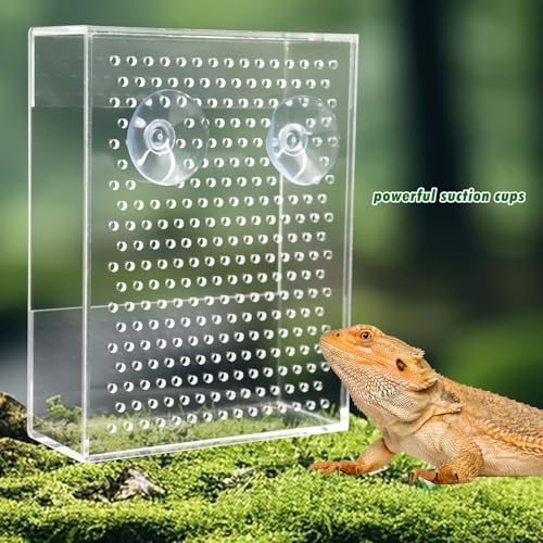 Bearded Dragon Feeder, Chameleon Bug Bowl, Transparentk Acrylic Reptile Feeder Box, Wall-Mounted Insect Food Dish with Suction Cups, Tank and Aquarium Accessories for Lizard Bearded Dragon Gecko Frog - size: Small - 4.7 × 1.7 × 6.3 inch