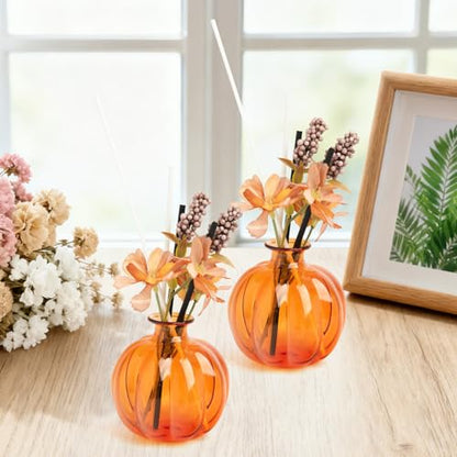 XXXFLOWER Plant Terrarium Propagation Stations Unique Gifts for Women Plant Lovers 3Pcs Pumpkin-Shaped Glass Vase for Tabletop Home Office Garden Decor (Plants NOT Included) - size: 3PCS Pumpkin Vase