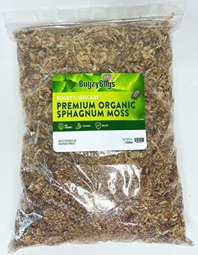 Sphagnum Moss Premium Natural Dried Moss Plant 4 Quart