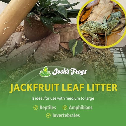 Josh's Frogs Large Jackfruit Leaf Litter, 10 Count | Aquarium & Terrarium Decoration, Pet Enclosure, 0.009kg