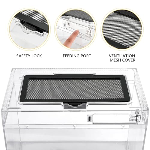 Reptile PC Terrarium Amphibian Tank Spider Enclosure Snake Cage 7x11.8x5.9inch Suitable for breeding Leopard Gecko,Frog,Hermit Crab,Lizards,Isopod,Tarantula,Turtles,Chameleons,Jumping Spiders - color: Transparent, size: Large