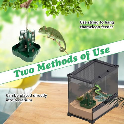 2PCS Reptile Hunting Bowl,4.4"×4.4"×4.7" H Insect Feeding Box with Rope and Tweezers Chameleon Feeder Bowls Hanging Bearded Dragon Bug Bowls Mounted Insect Reptile Feeder Box (Green,Small) - color: Green, size: Small:4.4"L×4.4"W×4.7"H
