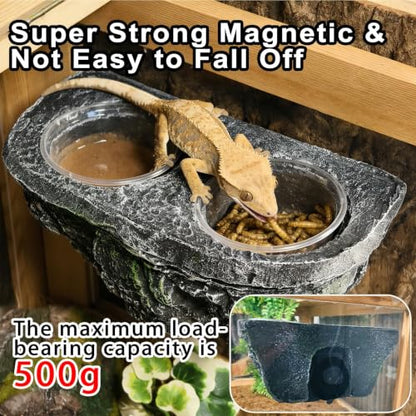 Tfwadmx Magnetic Reptile Feeder Ledge, Gecko Feeder Ledge with 6 Cups Reptile Feeding Bowls Food Dish Water Bowl Tank Accessories for Lizards Chameleons Frog(Grey) - color: Grey