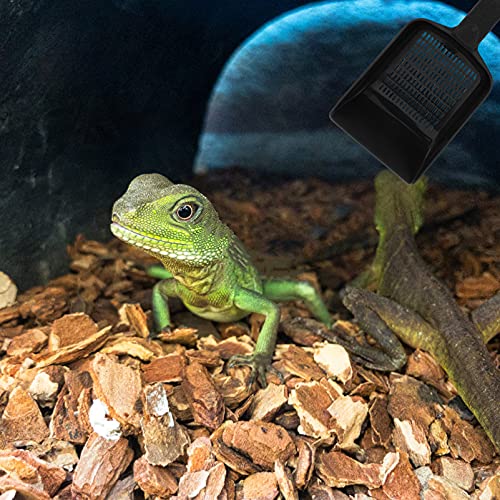 balacoo 2pcs Reptile Sand Shovels Ergonomic Mesh Excrement Cleaners for Tortoise Lizard Snake and Scorpion Convenient Storage Hanging Pet Supplies for Easy